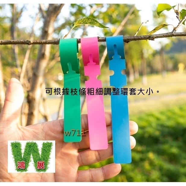 標示 標簽 標籤 苗木 標示牌 樹木標簽 環套標簽 園藝標簽 植物標簽（20張）<現貨+發票>w711鴻展-細節圖2