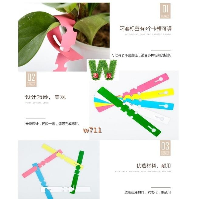 標示 標簽 標籤 苗木 標示牌 樹木標簽 環套標簽 園藝標簽 植物標簽（20張）<現貨+發票>w711鴻展-細節圖4