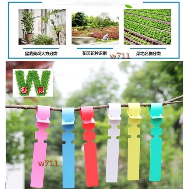 標示 標簽 標籤 苗木 標示牌 樹木標簽 環套標簽 園藝標簽 植物標簽（20張）<現貨+發票>w711鴻展-細節圖5