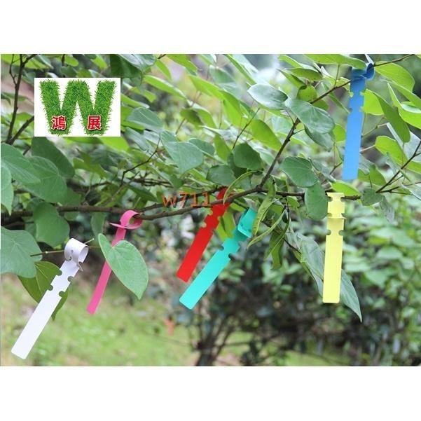標示 標簽 標籤 苗木 標示牌 樹木標簽 環套標簽 園藝標簽 植物標簽（20張）<現貨+發票>w711鴻展-細節圖6