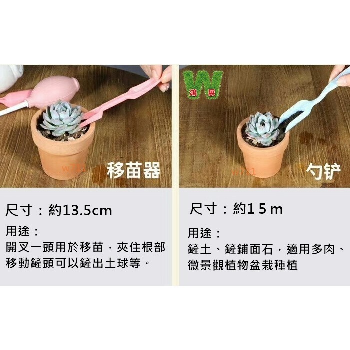 多肉 多肉工具 日式 窄口桶鏟 三件套組 換盆 種植 土鏟 挖苗 塊根植物 移苗器 鋪面鏟 園藝 工具 w711鴻展-細節圖10
