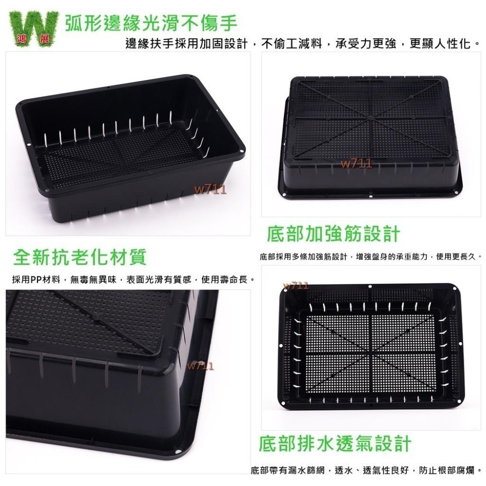 育苗盤 多肉 多肉專用盆  多肉植物 阡插 育苗盤 排水 透氣 <現貨+發票>w711鴻展-細節圖3