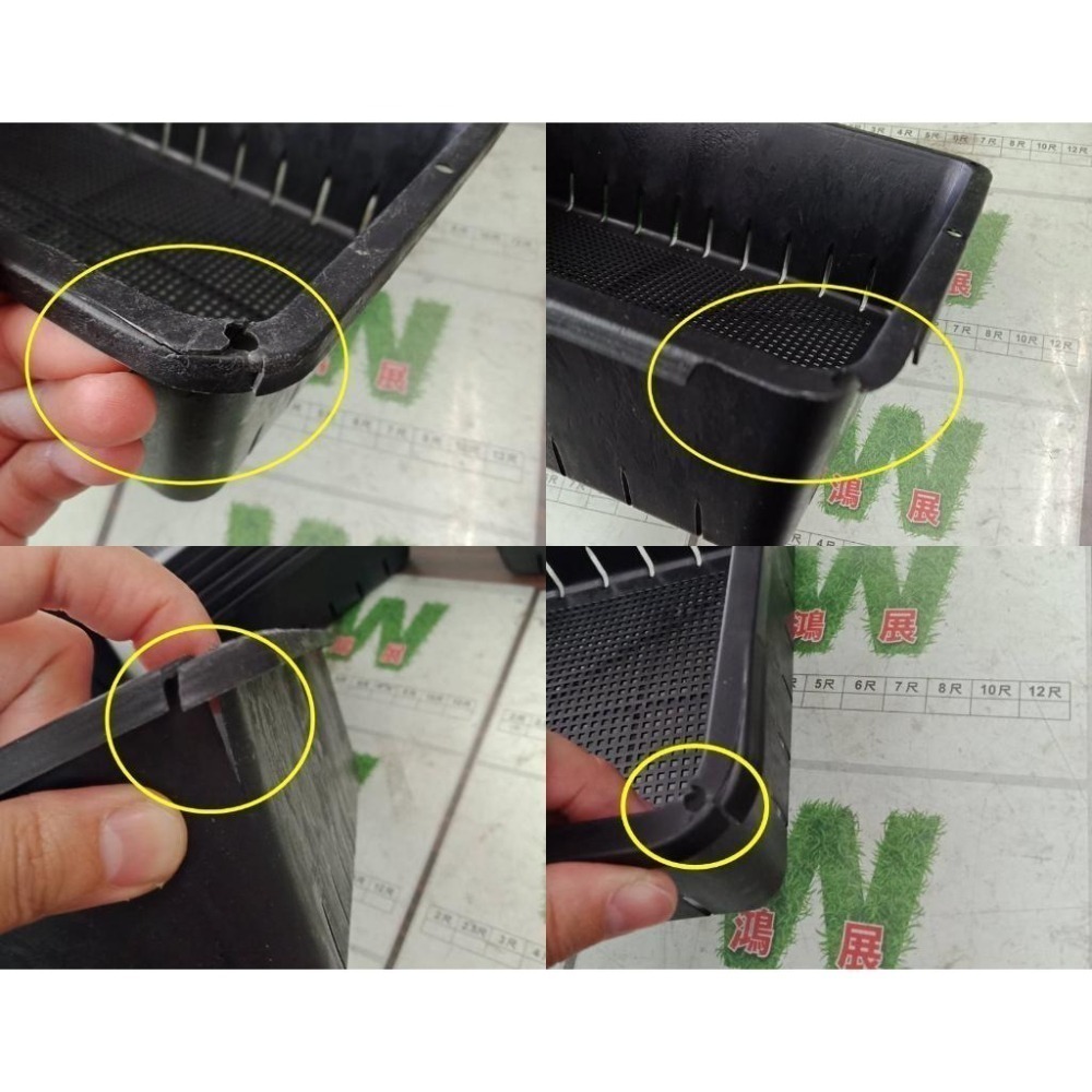 育苗盤 多肉 多肉專用盆  多肉植物 阡插 育苗盤 排水 透氣 <現貨+發票>w711鴻展-細節圖5