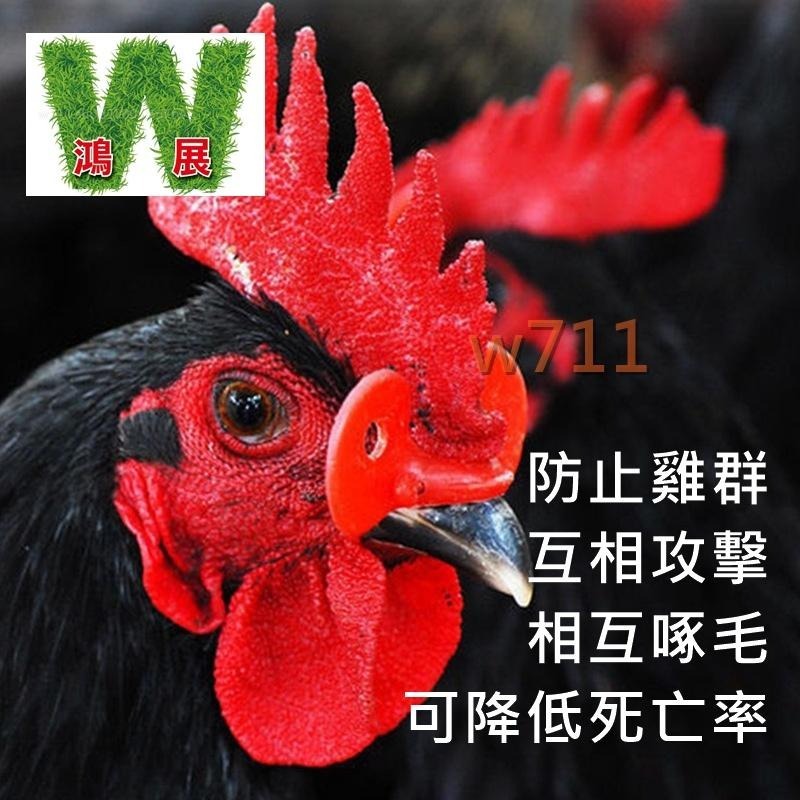 雞眼鏡〈現貨+發票〉w711 鴻展  穿刺式 穿針式 雞用眼鏡 防啄 打架 互啄 互咬 穿鼻孔 家禽類 公雞(10入裝)-細節圖2