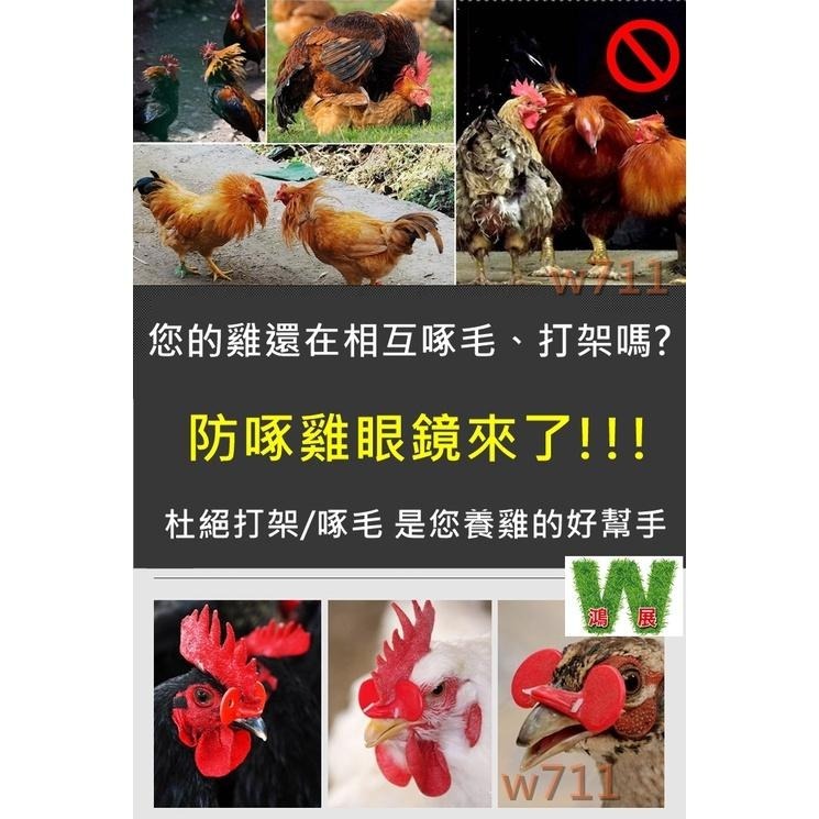 雞眼鏡〈現貨+發票〉w711 鴻展  穿刺式 穿針式 雞用眼鏡 防啄 打架 互啄 互咬 穿鼻孔 家禽類 公雞(10入裝)-細節圖6