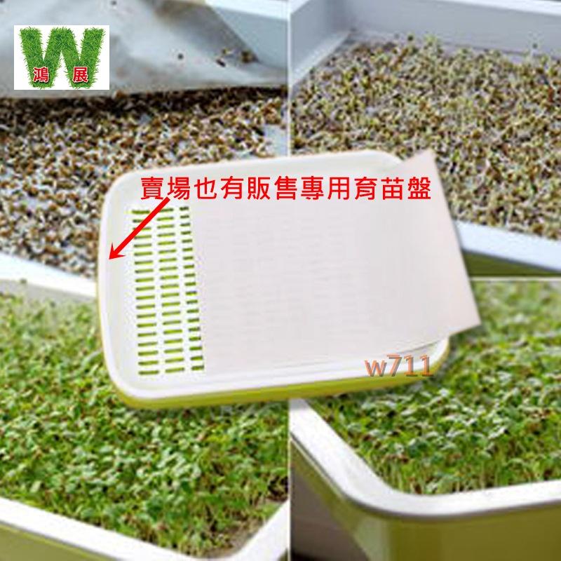 育苗紙 育苗盤 種菜紙 芽菜盤 無土栽培 芽苗菜 種植紙 種菜  吸水 保濕 防漏 芽菜 <現貨+發票> w711 鴻展-細節圖4