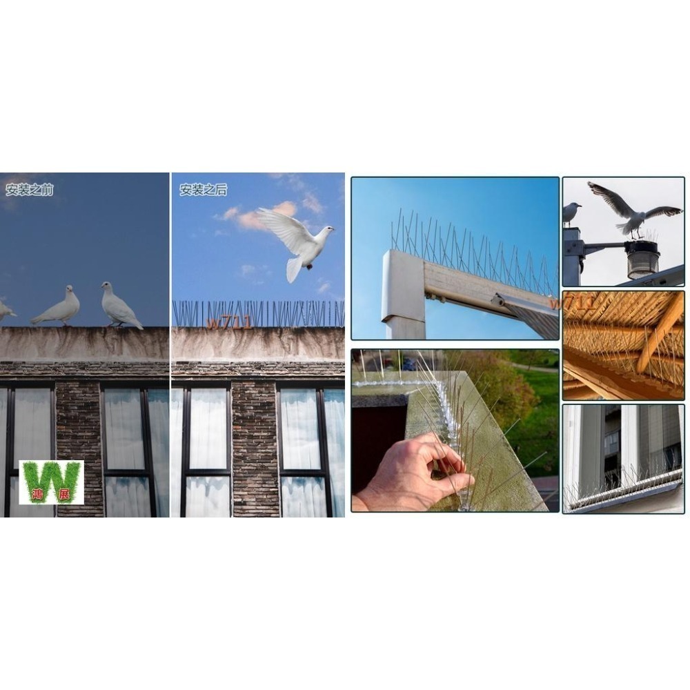 防鳥刺 驅鳥器 防鳥器 驅鳥 不繡鋼材質 更新型 更經濟 更好用 >>1底座配10支刺<< <現貨+發票>w711鴻展-細節圖9