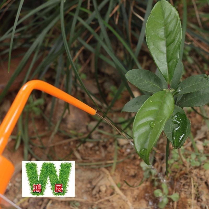 澆水 日式 多肉 植物 滴水壺 家用 噴水壺 園藝 盆栽 灑水 擠壓式 (兩款瓶裝) <現貨+發票> w711 鴻展-細節圖4