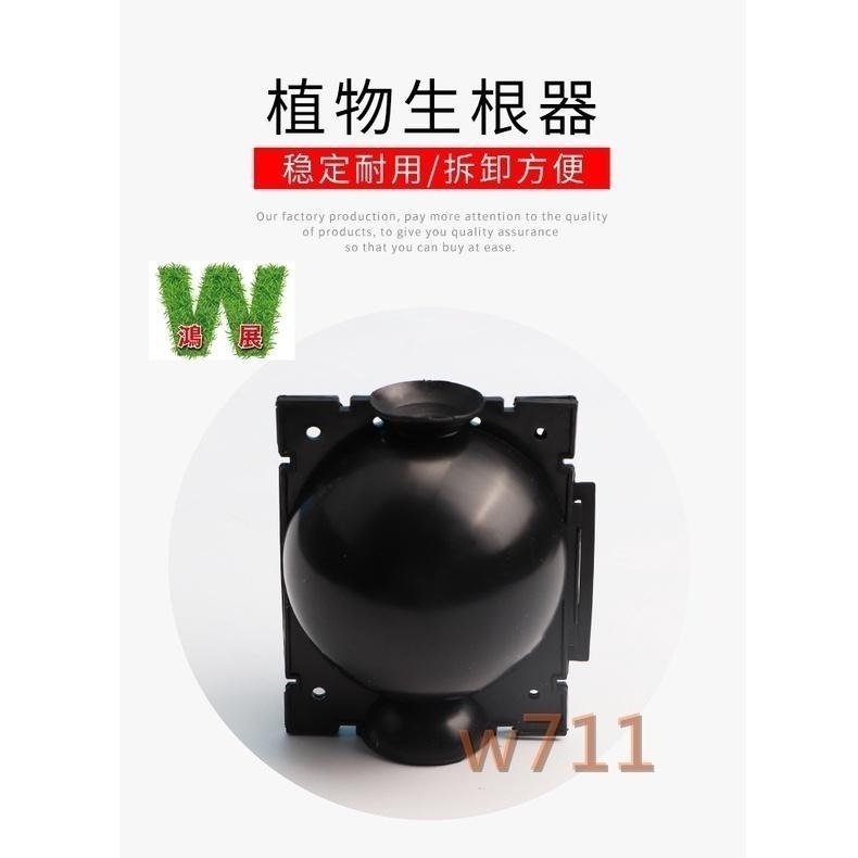 嫁接球 植物繁殖盒🌱送4條束帶🌱 生根器 植物 高壓 繁殖盒 高壓生根盒  繁殖球 扦插嫁接 <現貨+發票>w711鴻展-細節圖2