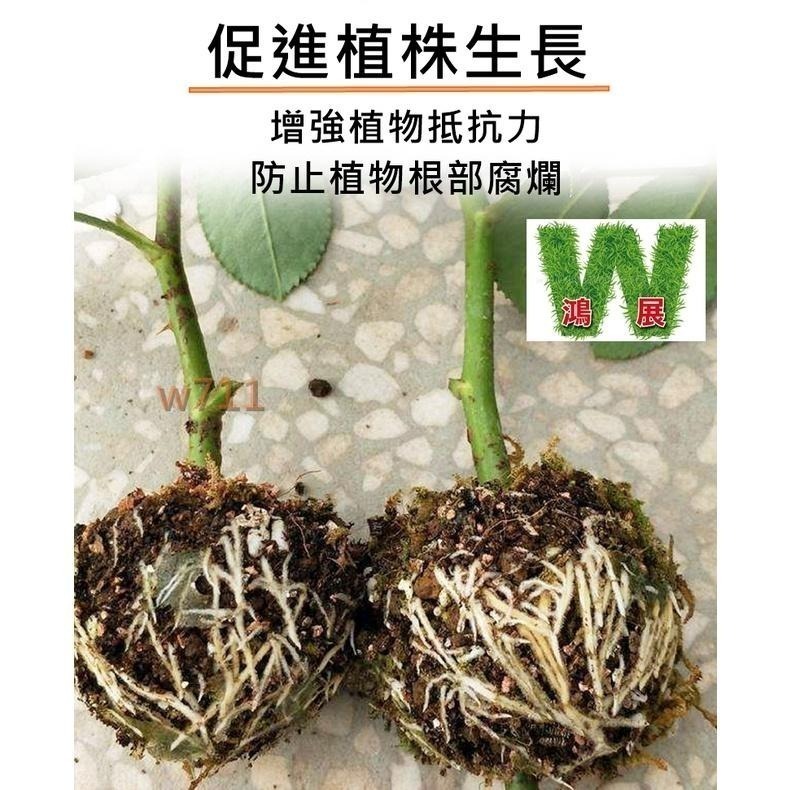 嫁接球 植物繁殖盒🌱送4條束帶🌱 生根器 植物 高壓 繁殖盒 高壓生根盒  繁殖球 扦插嫁接 <現貨+發票>w711鴻展-細節圖3