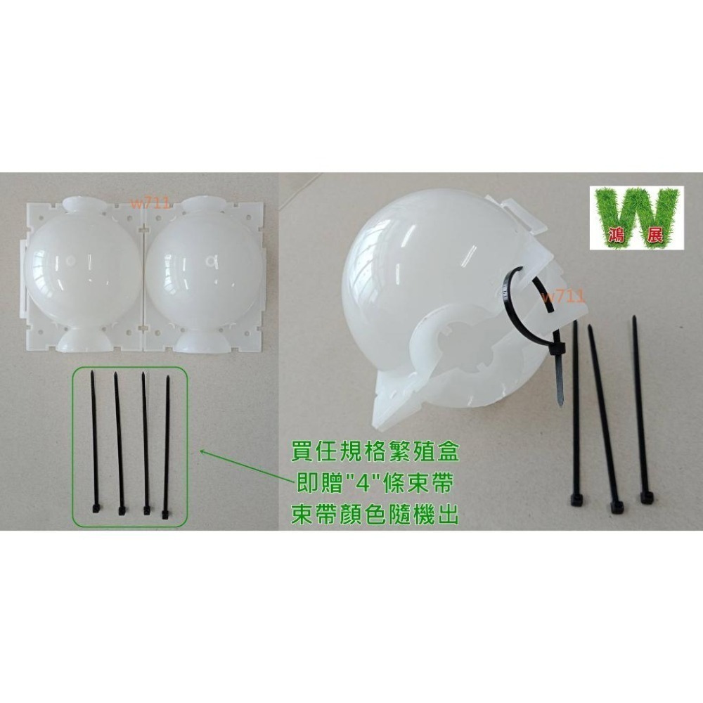 嫁接球 植物繁殖盒🌱送4條束帶🌱 生根器 植物 高壓 繁殖盒 高壓生根盒  繁殖球 扦插嫁接 <現貨+發票>w711鴻展-細節圖6