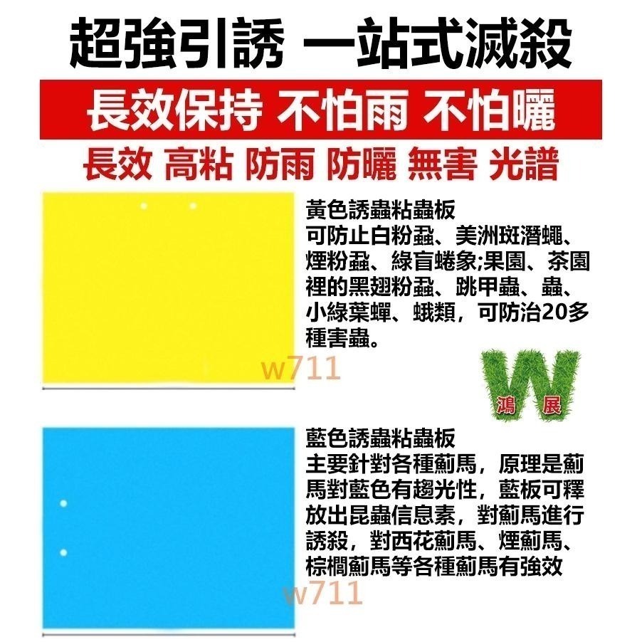 w711鴻展 黃色雙面 誘蟲 黏蟲板 黏蠅紙 黏蠅版 黏蟲板 除蟲 蒼蠅 果蠅 壁虎 果園 黏蟲紙 溫室 園藝-細節圖2