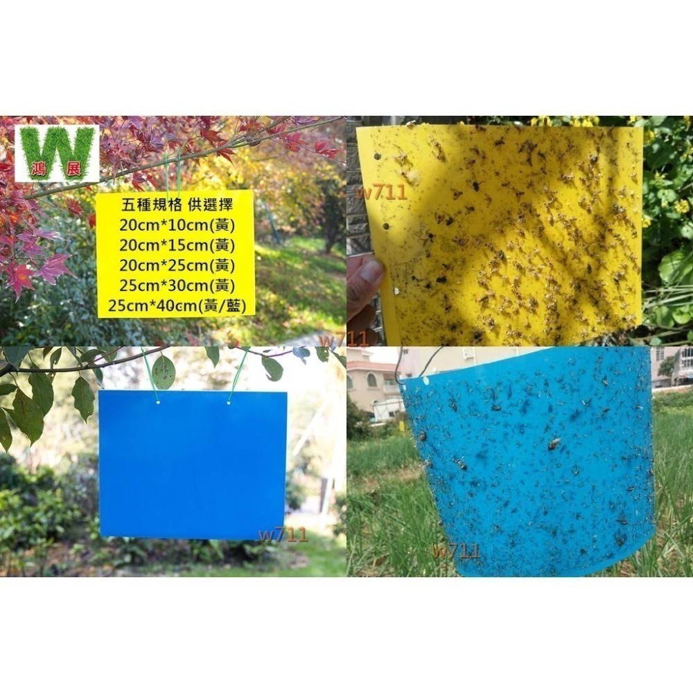 w711鴻展 黃色雙面 誘蟲 黏蟲板 黏蠅紙 黏蠅版 黏蟲板 除蟲 蒼蠅 果蠅 壁虎 果園 黏蟲紙 溫室 園藝-細節圖3