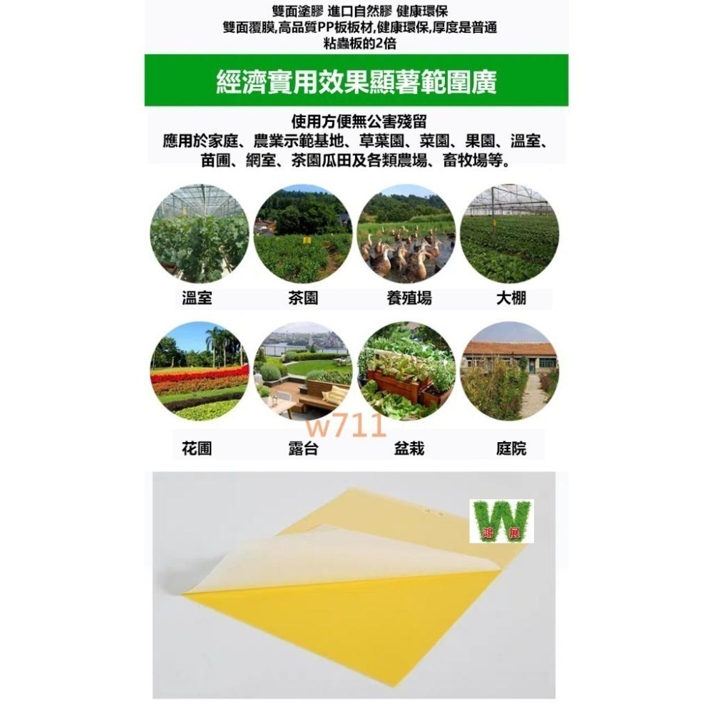 w711鴻展 黃色雙面 誘蟲 黏蟲板 黏蠅紙 黏蠅版 黏蟲板 除蟲 蒼蠅 果蠅 壁虎 果園 黏蟲紙 溫室 園藝-細節圖4
