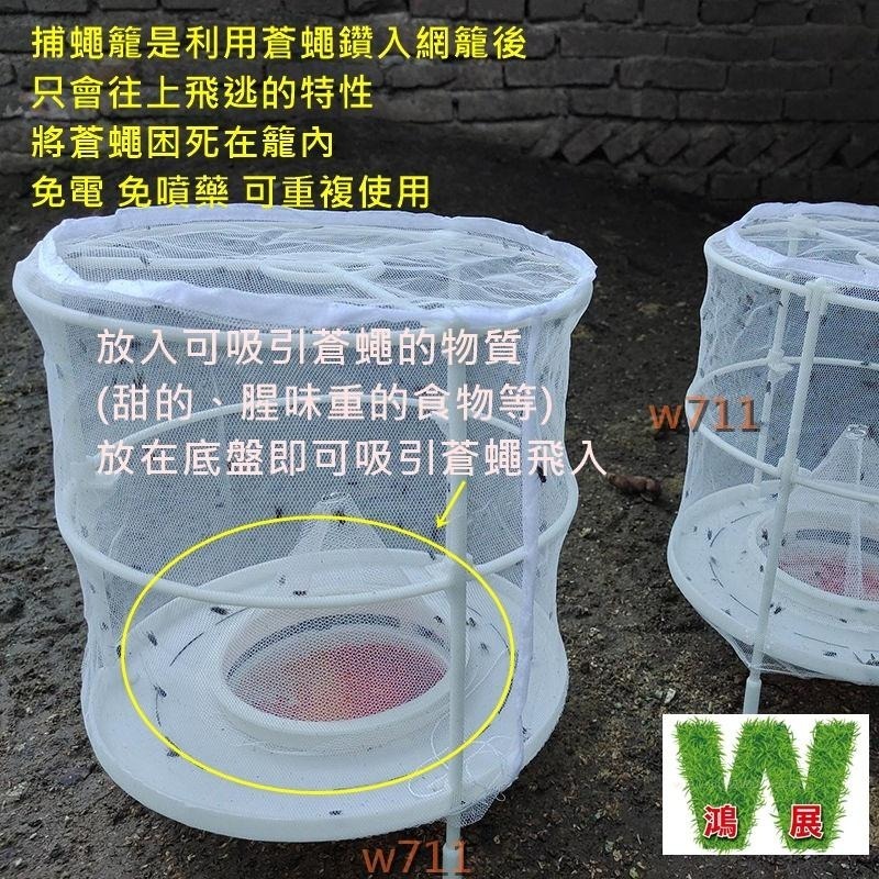 捕蠅籠 抓蒼蠅 捕蠅器 現貨發票w711鴻展  蒼蠅籠  誘捕蒼蠅籠 補蠅網 補蠅籠 蒼蠅殺手 捕蠅神器 滅蠅神器 捕捉-細節圖2