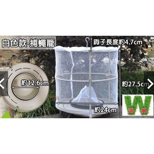 捕蠅籠 抓蒼蠅 捕蠅器 現貨發票w711鴻展  蒼蠅籠  誘捕蒼蠅籠 補蠅網 補蠅籠 蒼蠅殺手 捕蠅神器 滅蠅神器 捕捉-細節圖6