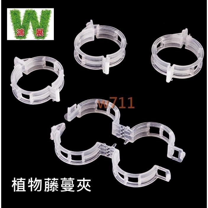 植物夾 番茄環扣植物藤夾 植物固定夾 綁蔓夾 蔓夾 園藝夾 藤蔓固定夾 枝條夾 -50入〈現貨+發票〉w711鴻展-細節圖3