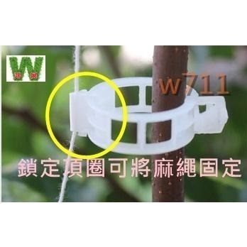 植物夾 番茄環扣植物藤夾 植物固定夾 綁蔓夾 蔓夾 園藝夾 藤蔓固定夾 枝條夾 -50入〈現貨+發票〉w711鴻展-細節圖5