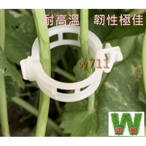 植物夾 番茄環扣植物藤夾 植物固定夾 綁蔓夾 蔓夾 園藝夾 藤蔓固定夾 枝條夾 -50入〈現貨+發票〉w711鴻展-細節圖6