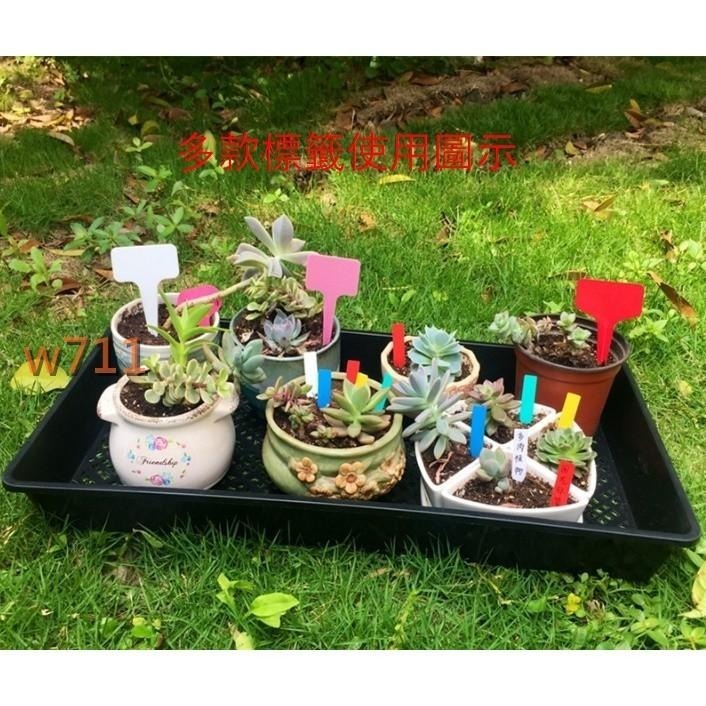 標籤 標示 標簽 植物標籤 標示牌 花卉  植物園藝 花卉標籤（一字厚款）<10入裝> <現貨+發票>w711鴻展-細節圖3