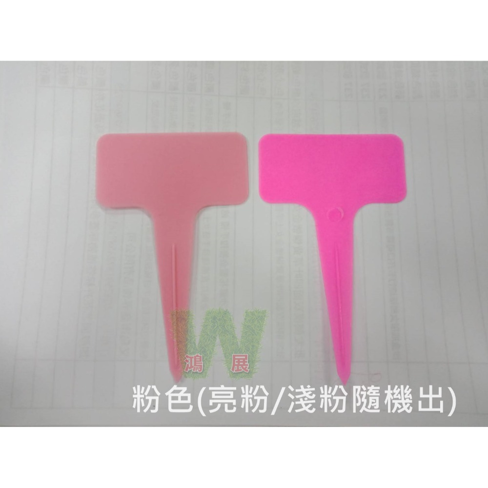 標簽 標籤 標示 植物標簽 標示牌 園藝 花卉 6色 (10片/包) 加厚 防水耐曬 外型美觀 <現貨+發票> w711-規格圖4