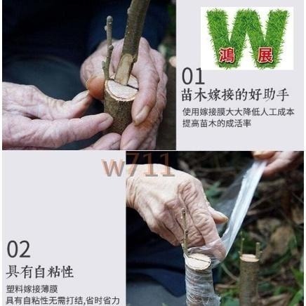 嫁接膜 <現貨+發票>w711鴻展 嫁接膜(多款尺寸)-細節圖5