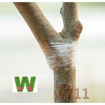 嫁接膜 <現貨+發票>w711鴻展 嫁接膜(多款尺寸)-細節圖7