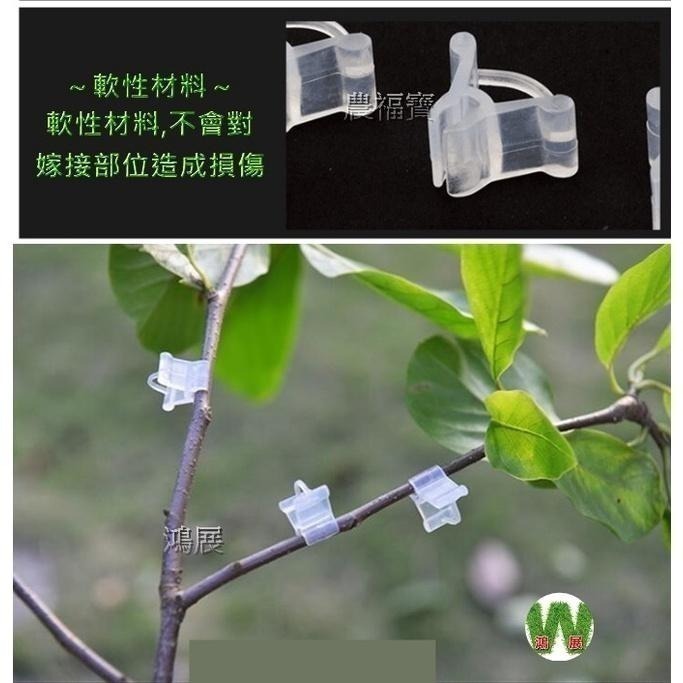 嫁接 嫁接夾 嫁接植物 嫁接夾 (100個/包) <現貨+發票> w711 鴻展-細節圖3