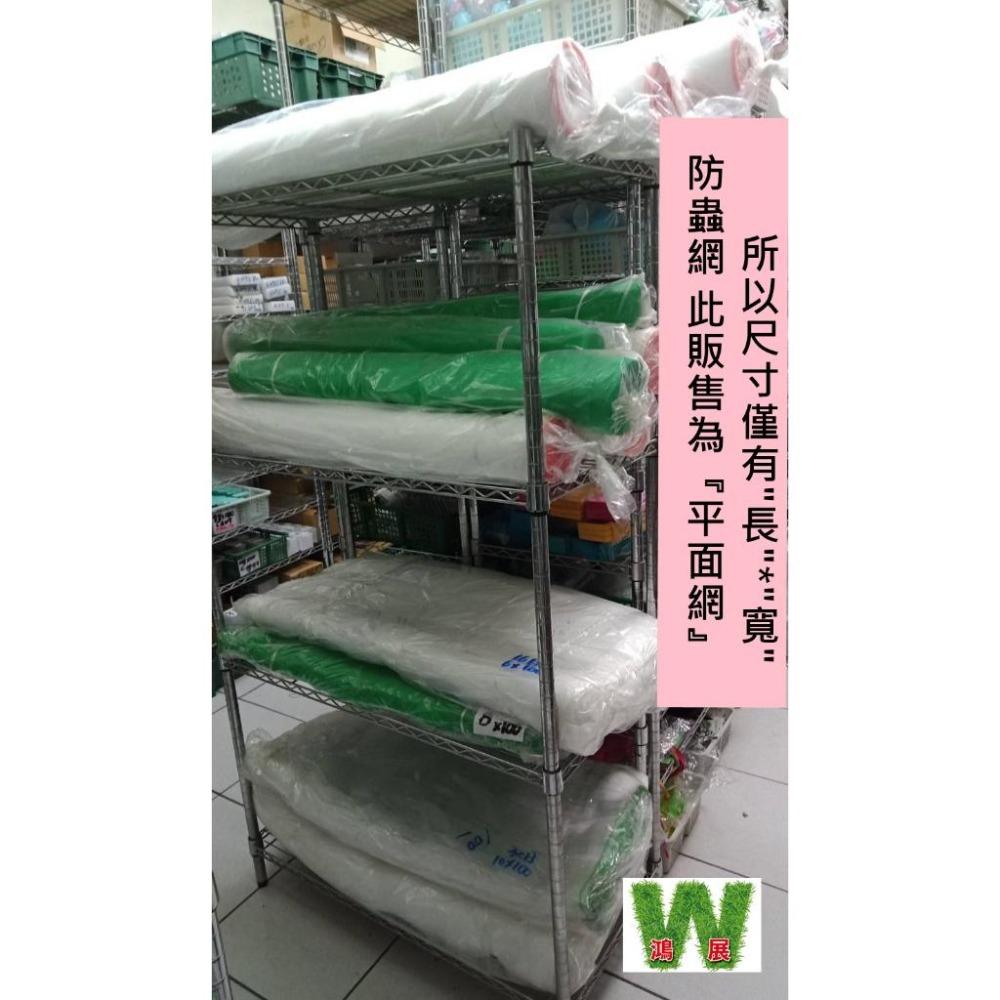 防蟲 青網 綠網 菜網 16目 3尺~4尺寛 100尺長(30米)  紗網 木瓜網 溫室  蔬菜網 紗窗網-細節圖3