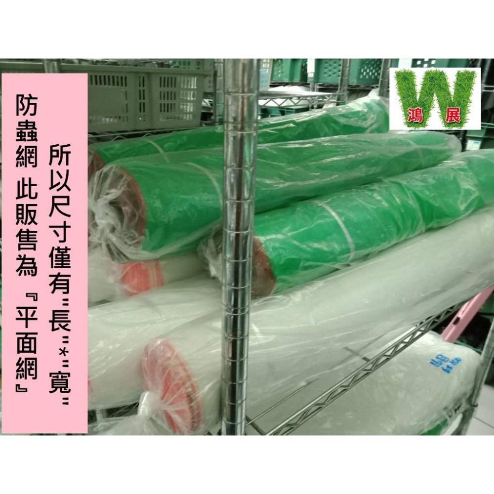 防蟲 青網 綠網 菜網 16目 3尺~4尺寛 100尺長(30米)  紗網 木瓜網 溫室  蔬菜網 紗窗網-細節圖4