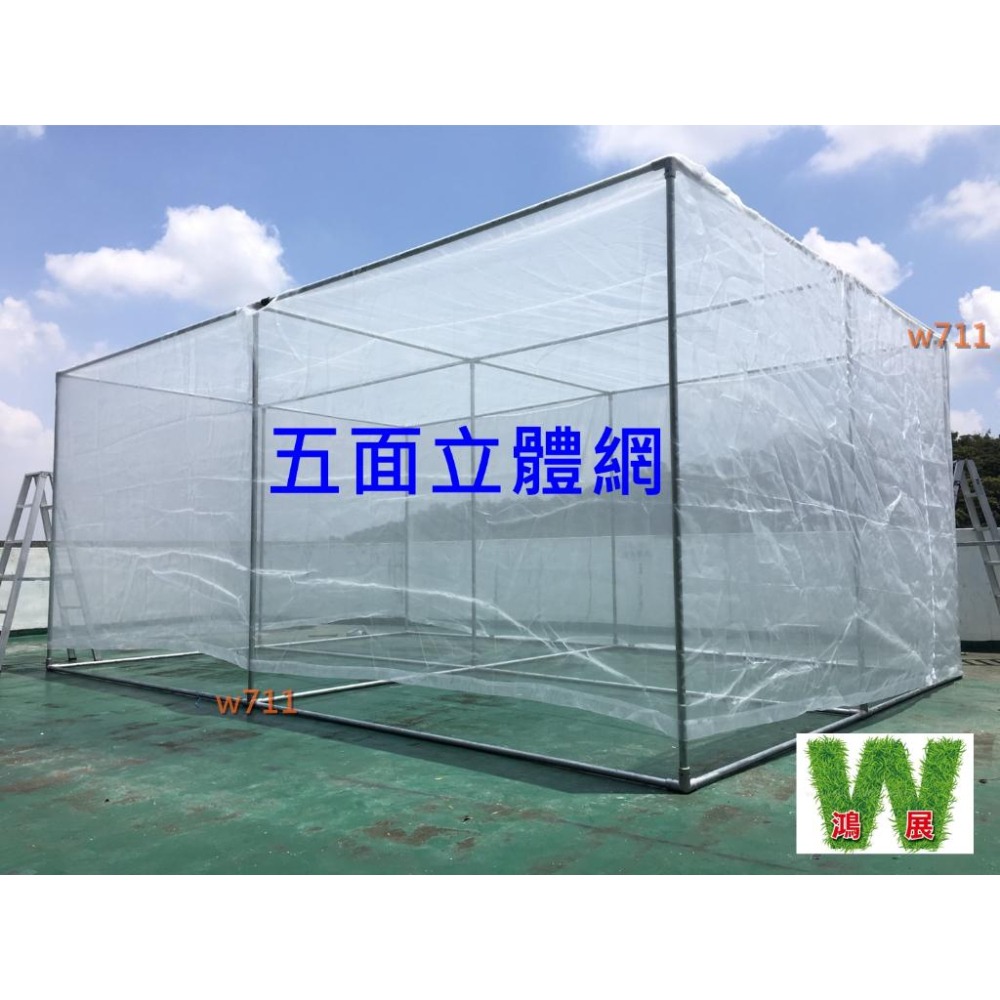 防蟲 青網 綠網 菜網 16目 3尺~4尺寛 100尺長(30米)  紗網 木瓜網 溫室  蔬菜網 紗窗網-細節圖8