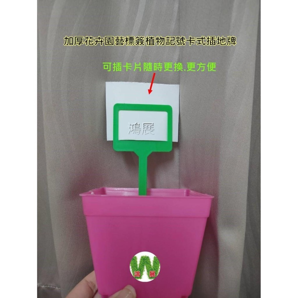 標籤  標示 園藝 標簽 標示牌 植物 花草 加厚花卉園藝標簽 植物記號卡式 插地牌  <現貨+發票> w711 鴻展-細節圖4