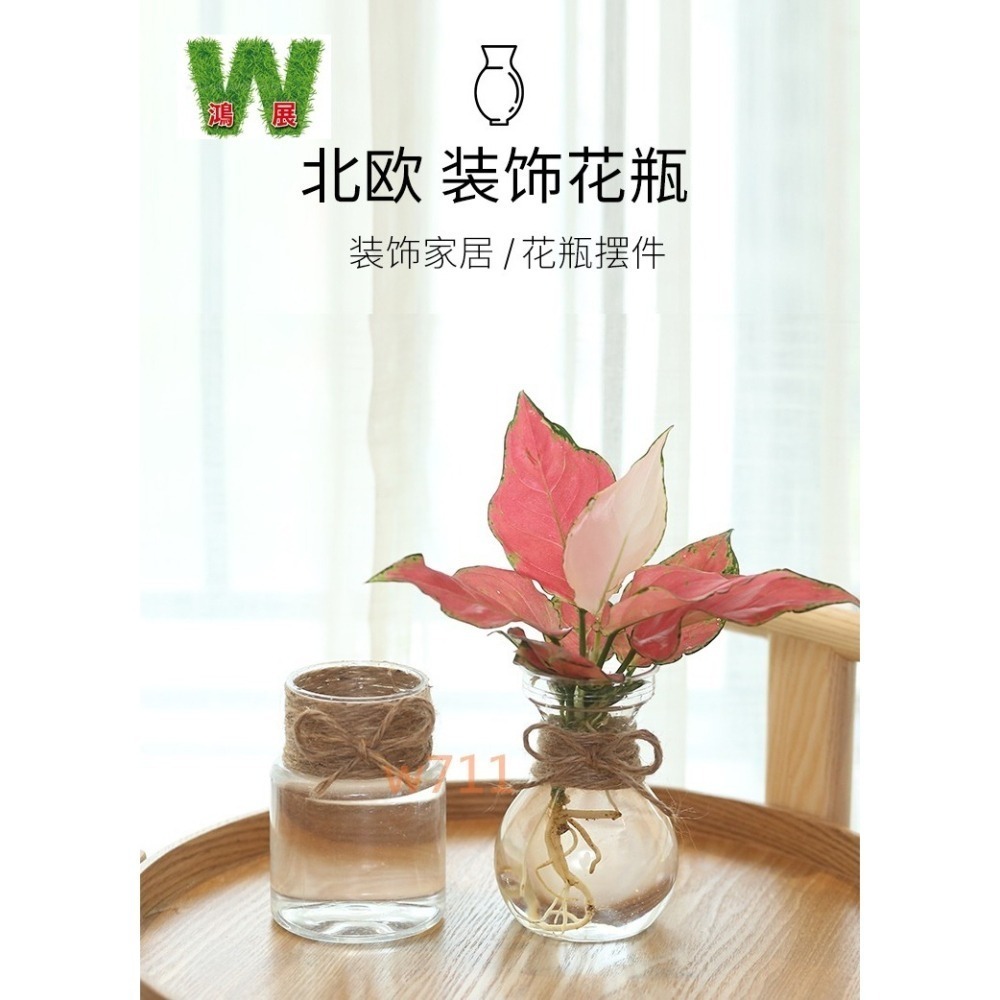 W711鴻展 發票 北歐風 仿玻璃透明度 透明 多款北歐風 水培 花盆 花瓶 種植 植物-細節圖2