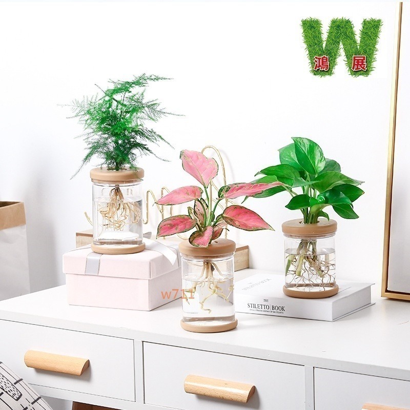 北歐風 仿玻璃透明度 透明 多款北歐風 水培 花盆 花瓶 種植 植物 w711鴻展 發票-細節圖2