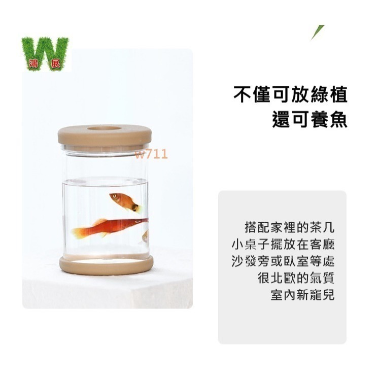 北歐風 仿玻璃透明度 透明 多款北歐風 水培 花盆 花瓶 種植 植物 w711鴻展 發票-細節圖5