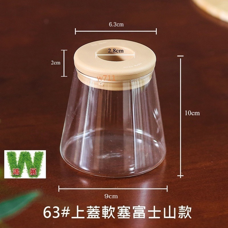 北歐風 仿玻璃透明度 透明 多款北歐風 水培 花盆 花瓶 種植 植物 w711鴻展 發票-細節圖10
