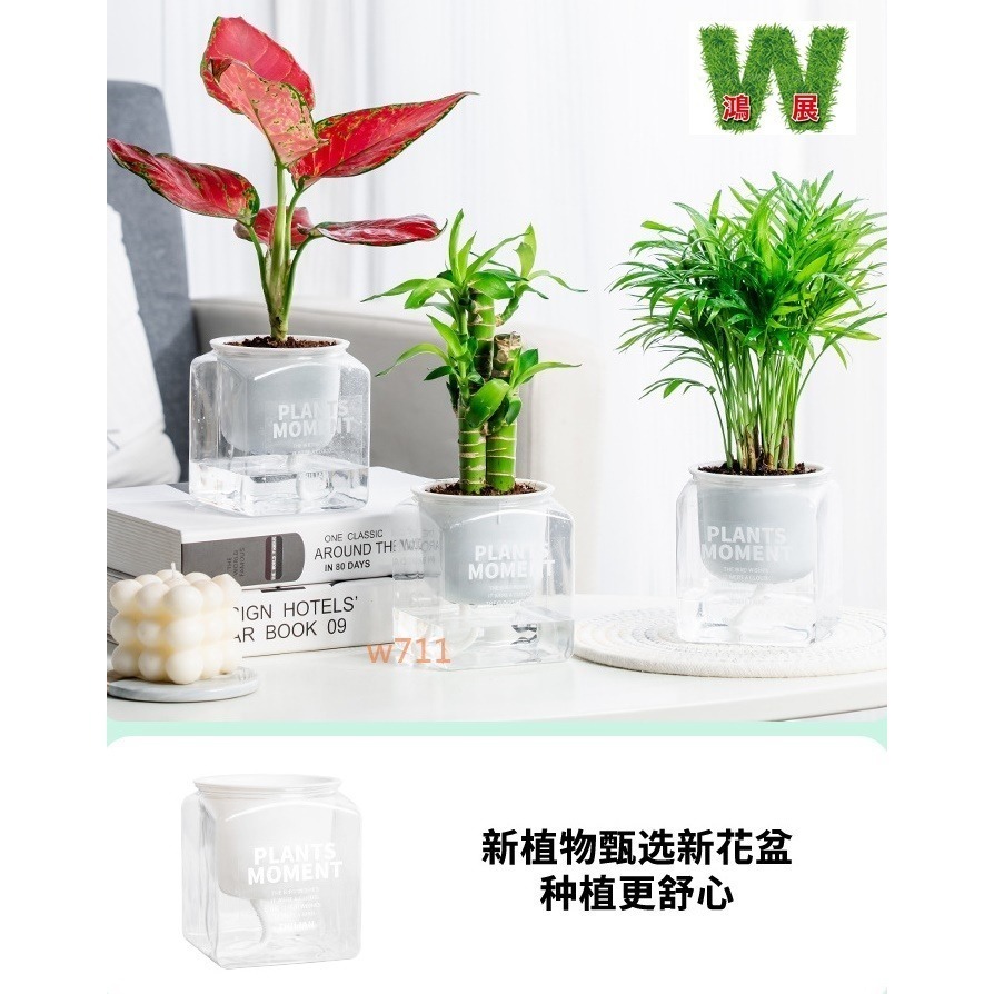 土培 方形 透明 花盆 自動吸水 仿玻璃 容器 花瓶 種植 盆器 植物 W711鴻展-細節圖4