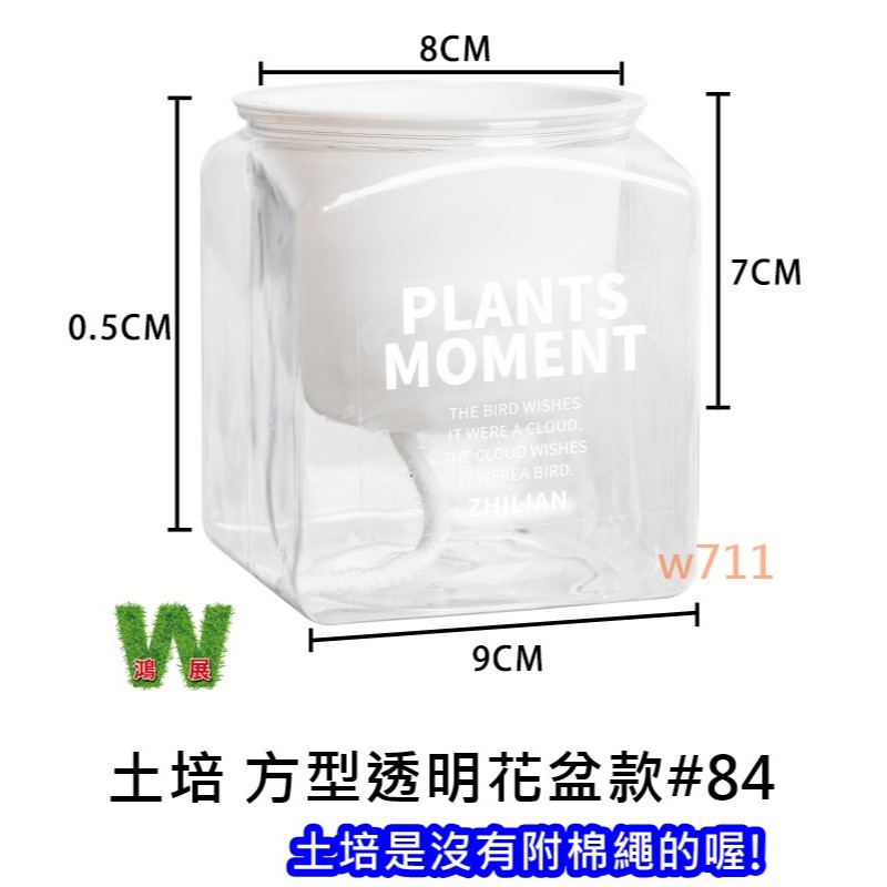 土培 方形 透明 花盆 自動吸水 仿玻璃 容器 花瓶 種植 盆器 植物 W711鴻展-細節圖7