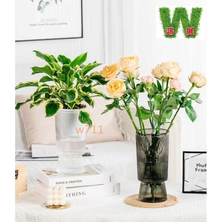 W711鴻展 土培 水培二用 自動吸水 透明 竪紋 獎杯款 花盆 透明款 圓型 花盆 花瓶 北歐風 仿玻璃透明度-細節圖3