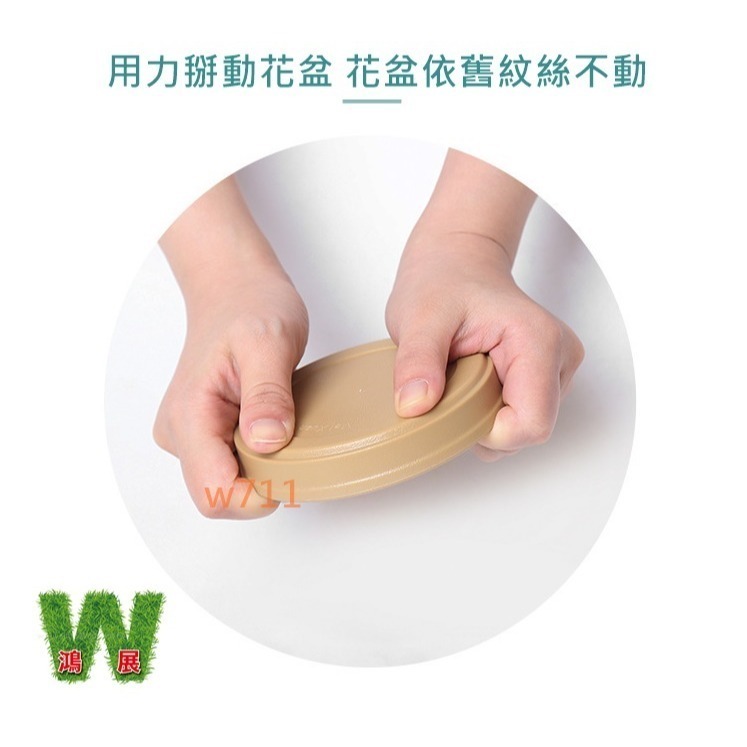 巴西木托盤 托盤 花盆 花器 蓄水器皿 仿陶瓷色 碗蓮水培容器 花瓶 種植 植物 W711鴻展-細節圖3