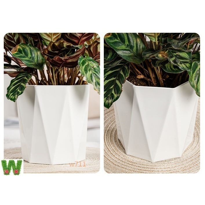 土培 自動吸水 北歐風 八方 來財款 透明 竪紋 獎杯款 花盆 透明款 圓型 花盆 花瓶 北歐風 仿玻璃透明度 綠植 種-細節圖5