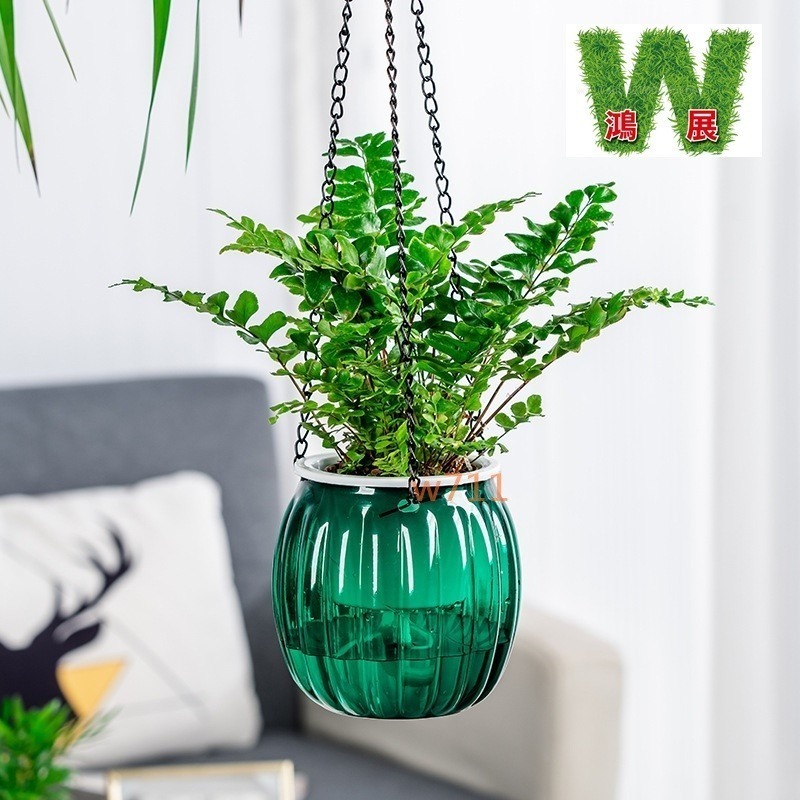 吊籃 懸掛式 南瓜 造型 自動吸水 水培 花盆 陽臺 家用 花器 蓄水器皿 容器 花瓶 種植 植物 W711鴻展-細節圖2