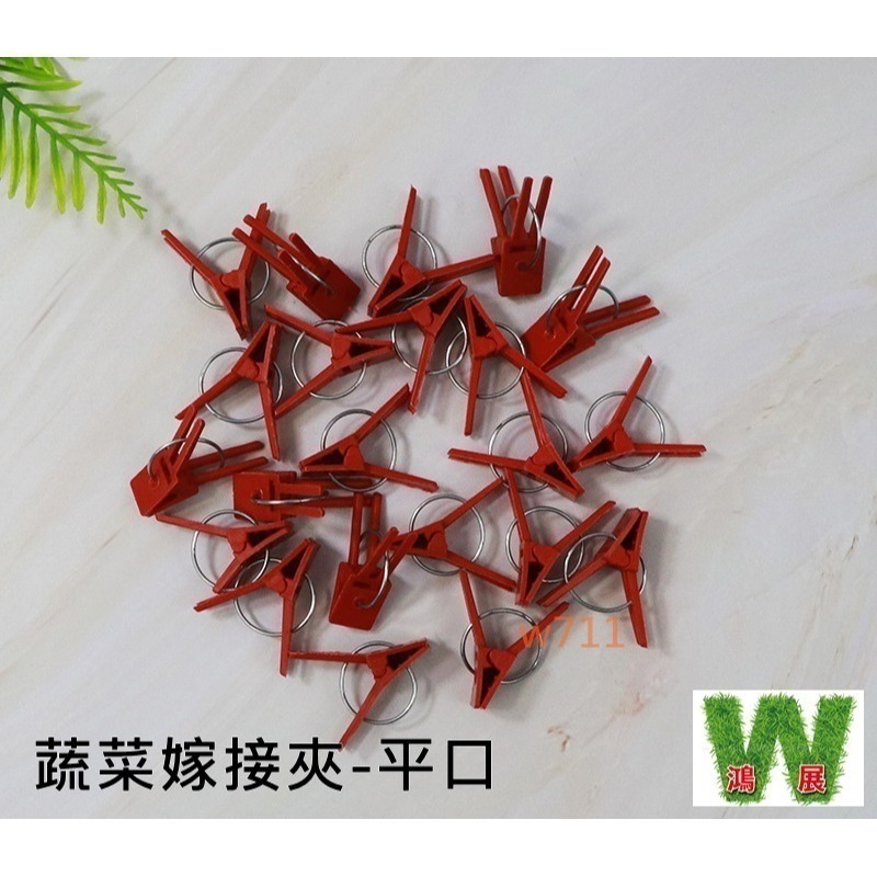 w711鴻展 嫁接夾 圓口 平口 蔬菜嫁接夾 黃瓜夾 西瓜甜瓜嫁接夾 茄子嫁接塑膠夾子-細節圖6