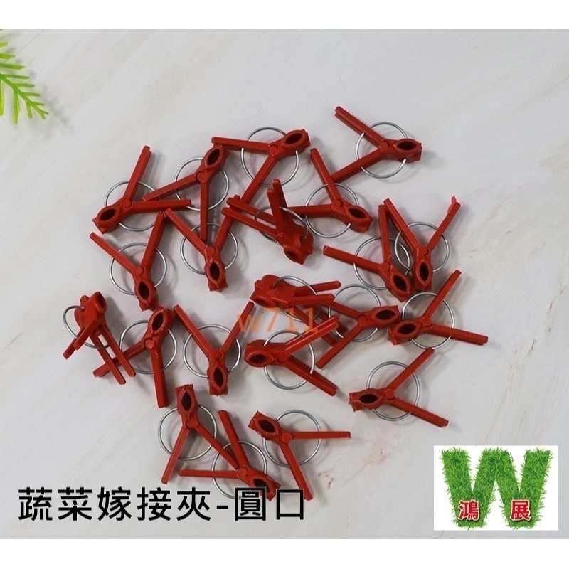 w711鴻展 嫁接夾 圓口 平口 蔬菜嫁接夾 黃瓜夾 西瓜甜瓜嫁接夾 茄子嫁接塑膠夾子-細節圖7