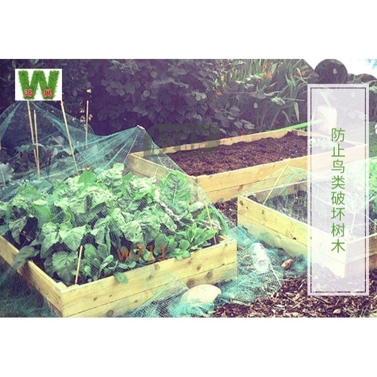 w711鴻展 防鳥網 動物網 尼龍網 養殖網-細節圖6