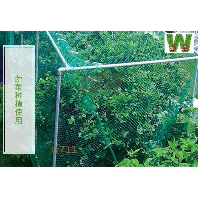 w711鴻展 防鳥網 動物網 尼龍網 養殖網-細節圖7