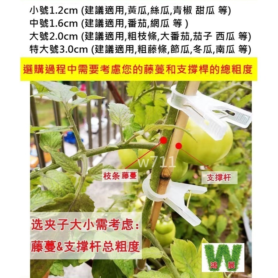 綁蔓夾 植物夾 番茄夾 綁藤夾 綁枝夾 藤蔓夾 黃瓜夾 夾子 w711鴻展-細節圖4