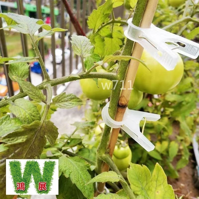 綁蔓夾 植物夾 番茄夾 綁藤夾 綁枝夾 藤蔓夾 黃瓜夾 夾子 w711鴻展-細節圖5