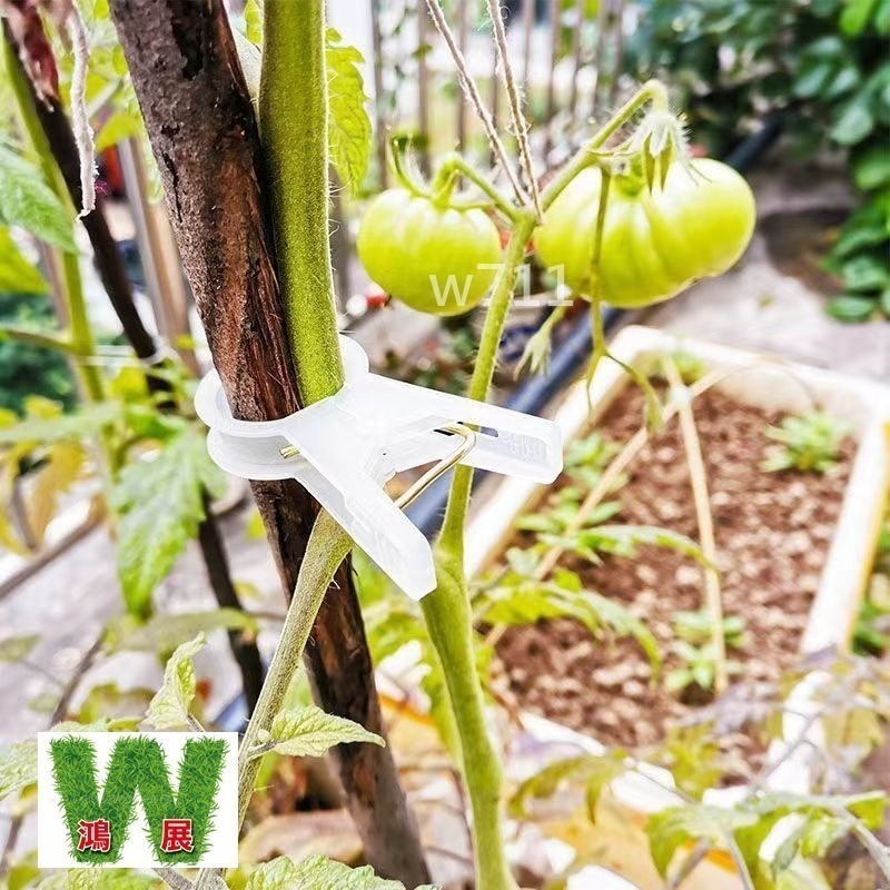 綁蔓夾 植物夾 番茄夾 綁藤夾 綁枝夾 藤蔓夾 黃瓜夾 夾子 w711鴻展-細節圖6