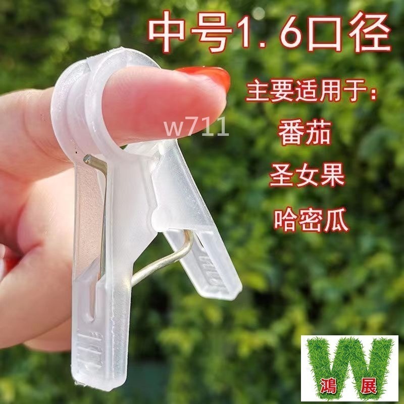 綁蔓夾 植物夾 番茄夾 綁藤夾 綁枝夾 藤蔓夾 黃瓜夾 夾子 w711鴻展-細節圖7